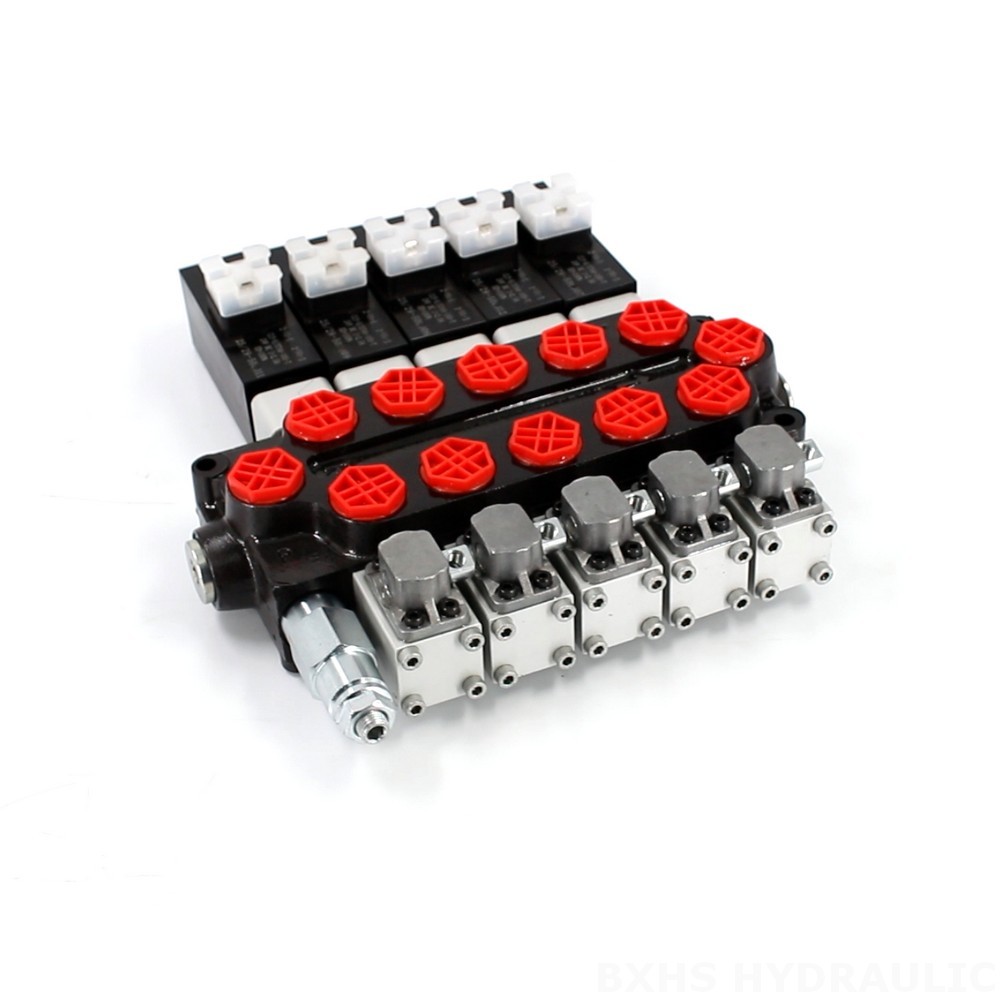 Durable Q45 5 Spool Monoblock Directional Valve for Hydraulic Systems image